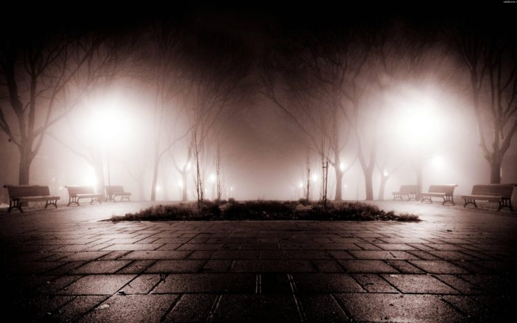 park, Landscapes, World, Night, Lights, Fog, Bench, Trees, Post, Lamp, Rain, Wet, Reflection, Black, White HD Wallpaper Desktop Background