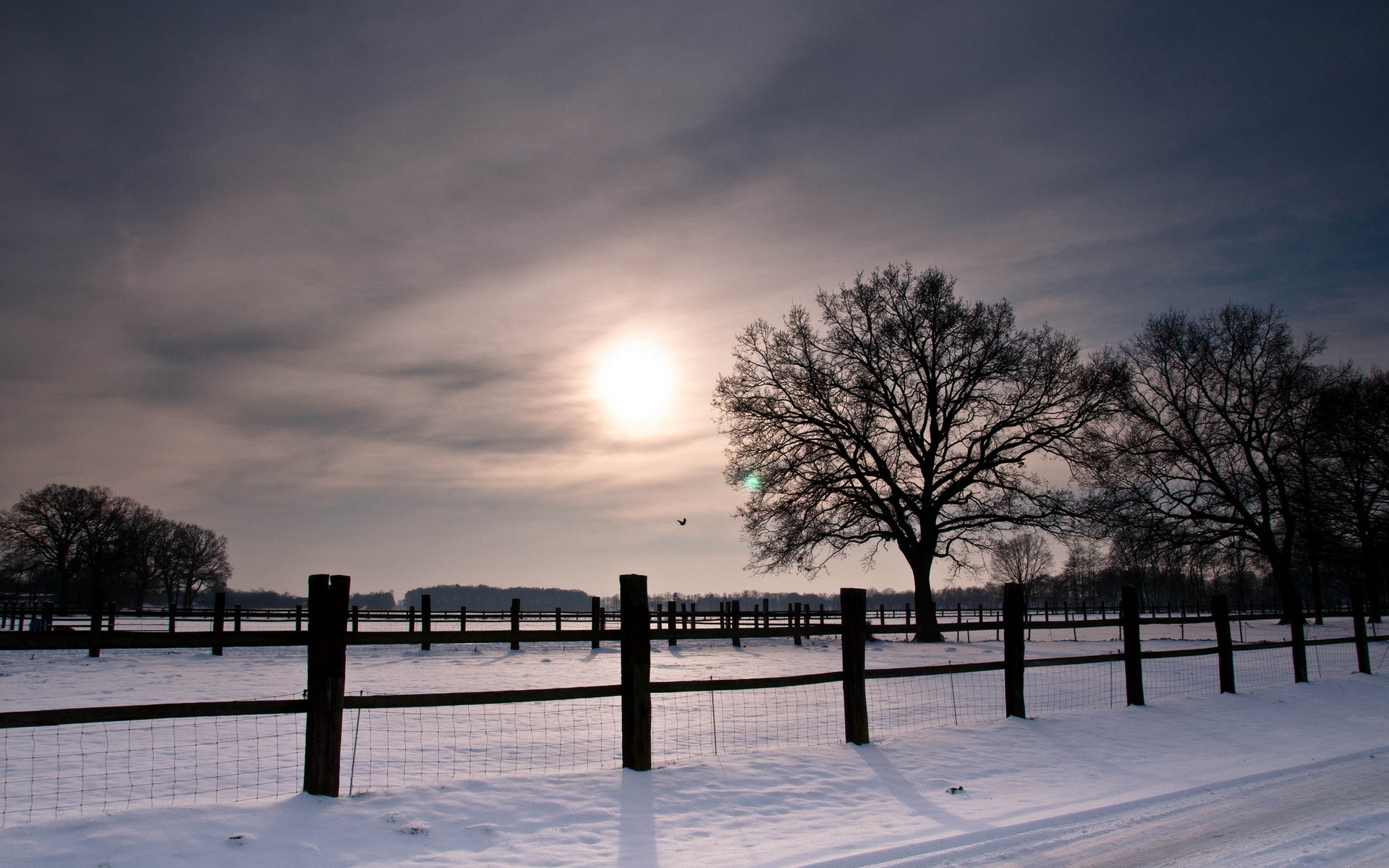 roads, Nature, Landscapes, Winter, Snow, Fence, Fields, Trees, Sunset, Sunrise, Sky, Clouds Wallpaper