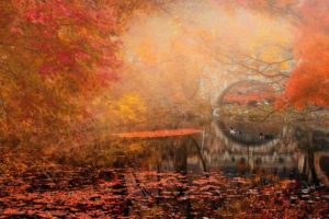 autumn, Bridge, Landscape, River, Park