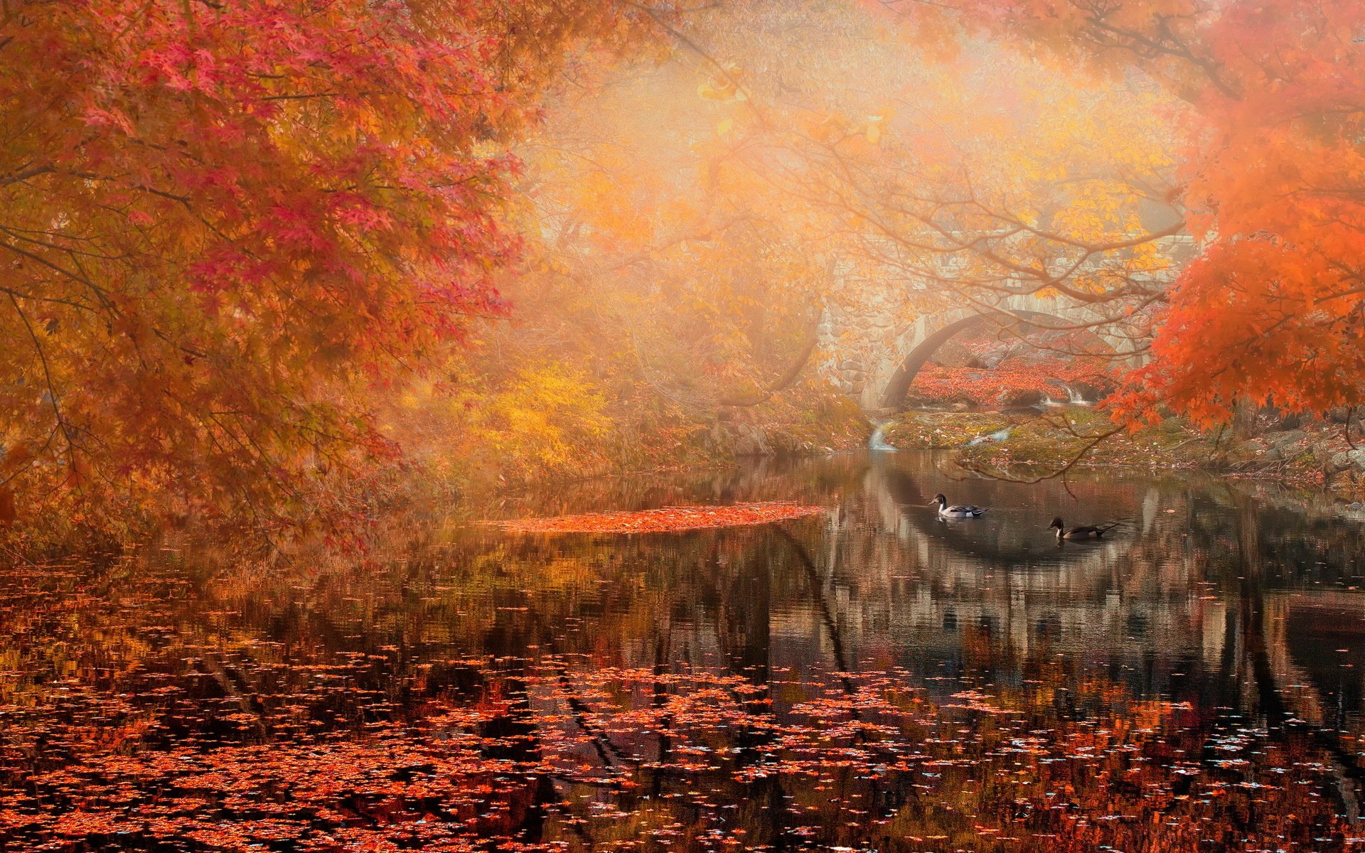 autumn, Bridge, Landscape, River, Park Wallpapers HD / Desktop and