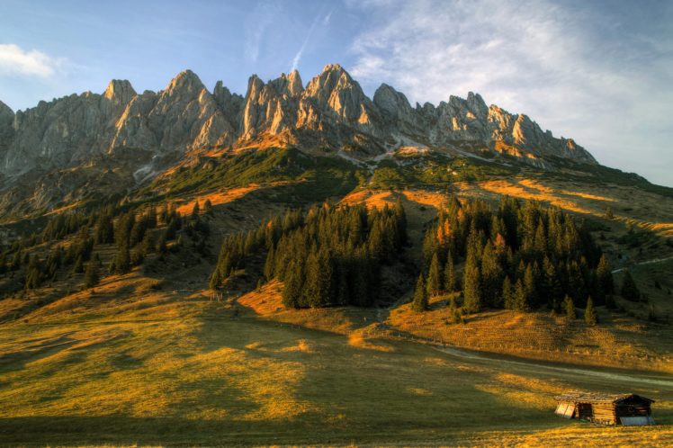 austria, Scenery, Mountains, Fir, Grass, Nature HD Wallpaper Desktop Background