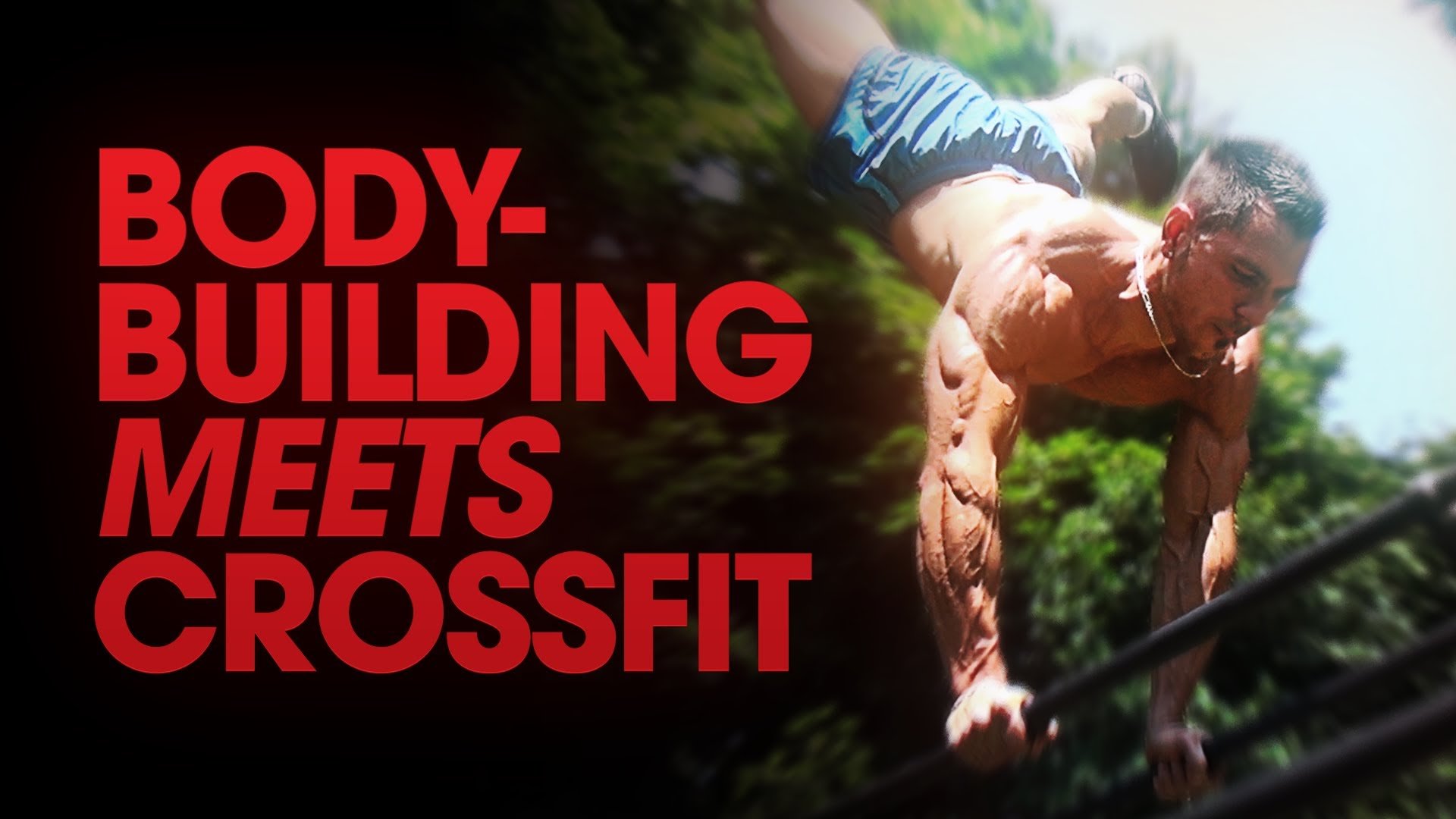 body building, Fitness, Muscle, Muscles, Weight, Lifting, Bodybuilding,  5 Wallpaper