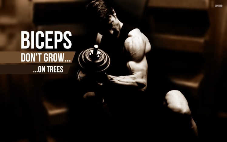 body building, Fitness, Muscle, Muscles, Weight, Lifting, Bodybuilding,  60 HD Wallpaper Desktop Background