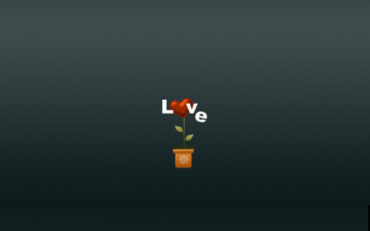 love, Flower HD Wallpaper Desktop Background