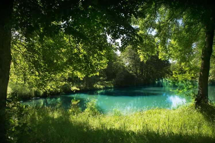 germany, Summer, Rivers, Bavaria, Grass, Nature HD Wallpaper Desktop Background