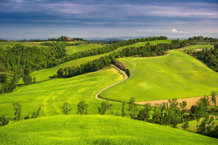 sky, Fields, Tuscany, Cloud, Italy HD Wallpaper Desktop Background