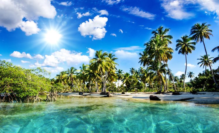 tropics, Coast, Sky, Palma, Clouds, Nature HD Wallpaper Desktop Background