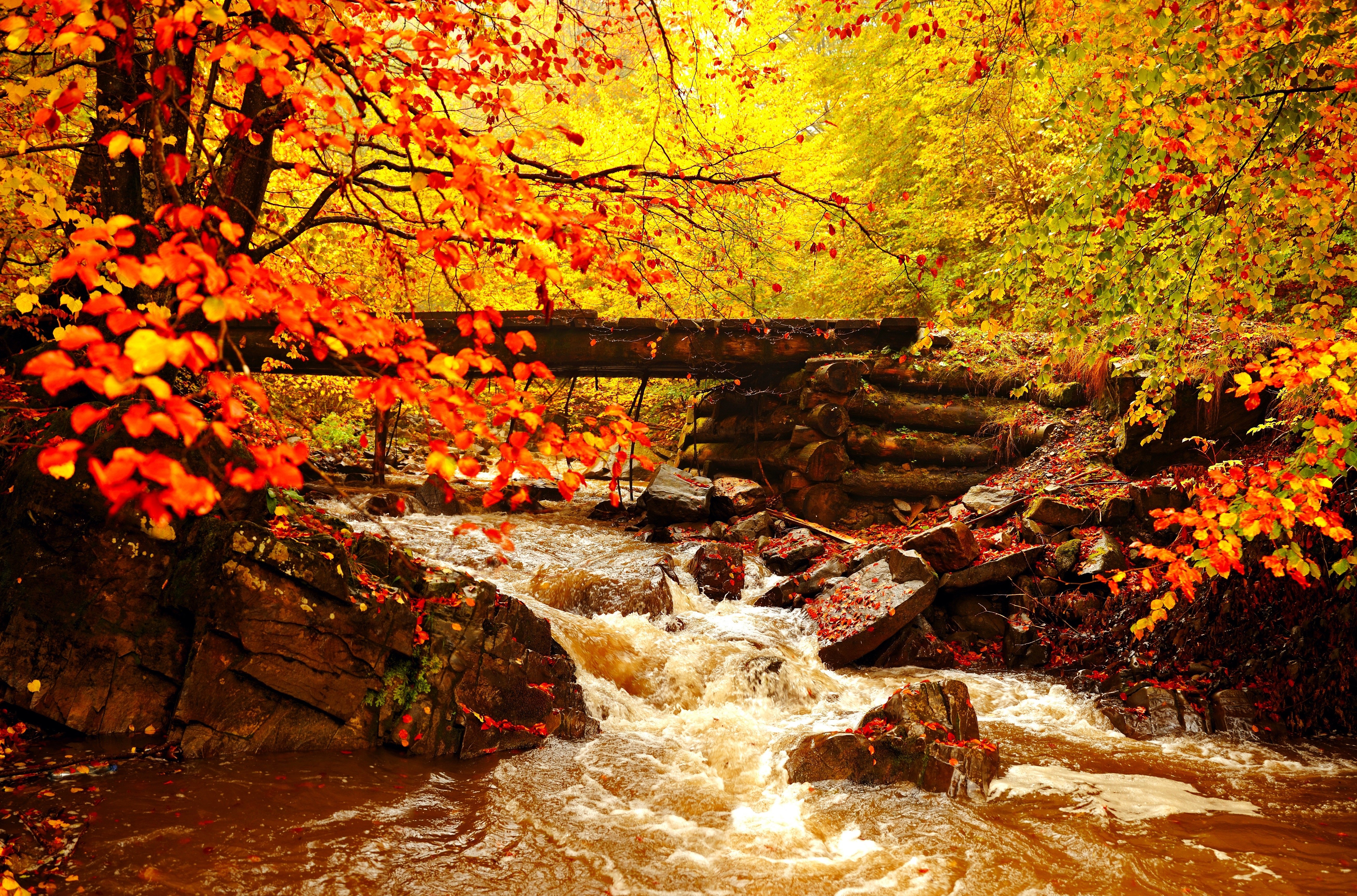 landscape, Leaves, Golden, Autumn Wallpaper