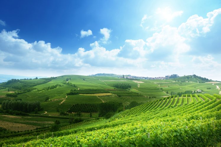 italy, Fields, Sky, Scenery, Piedmont, Nature HD Wallpaper Desktop Background