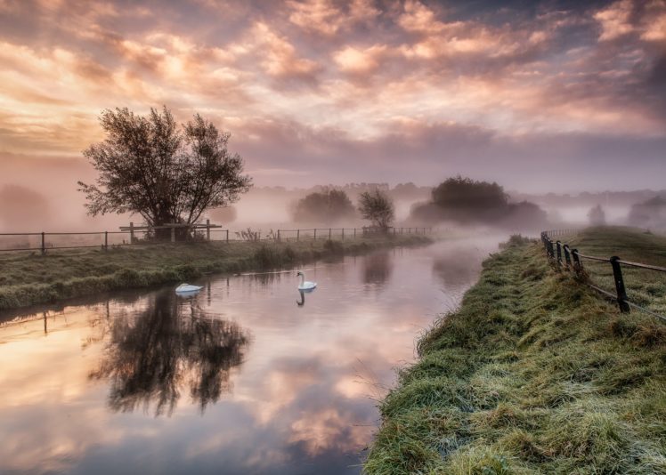 sunrise, River, Swans, Fence, Grass, Trees, Fog HD Wallpaper Desktop Background