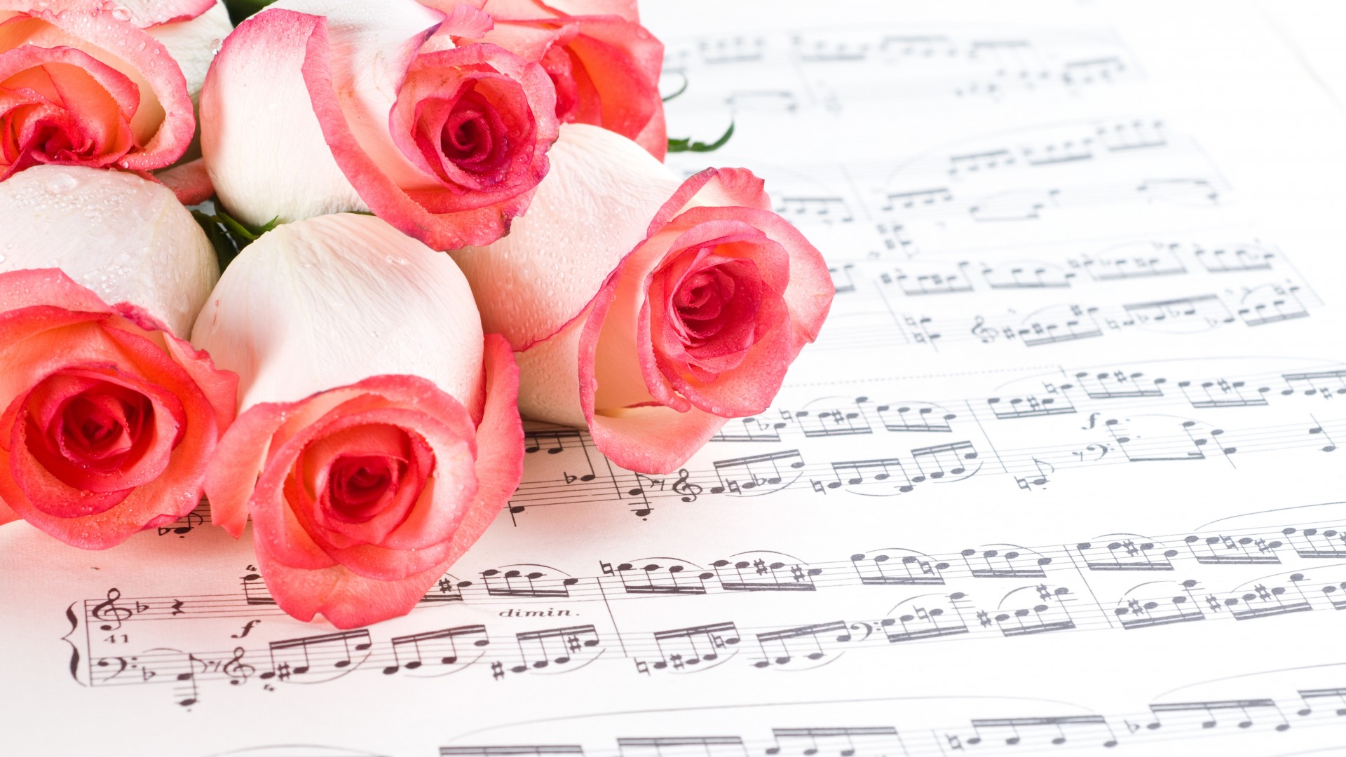 music, Notes, Sheet, Paper, Flowers, Roses, Mood Wallpaper