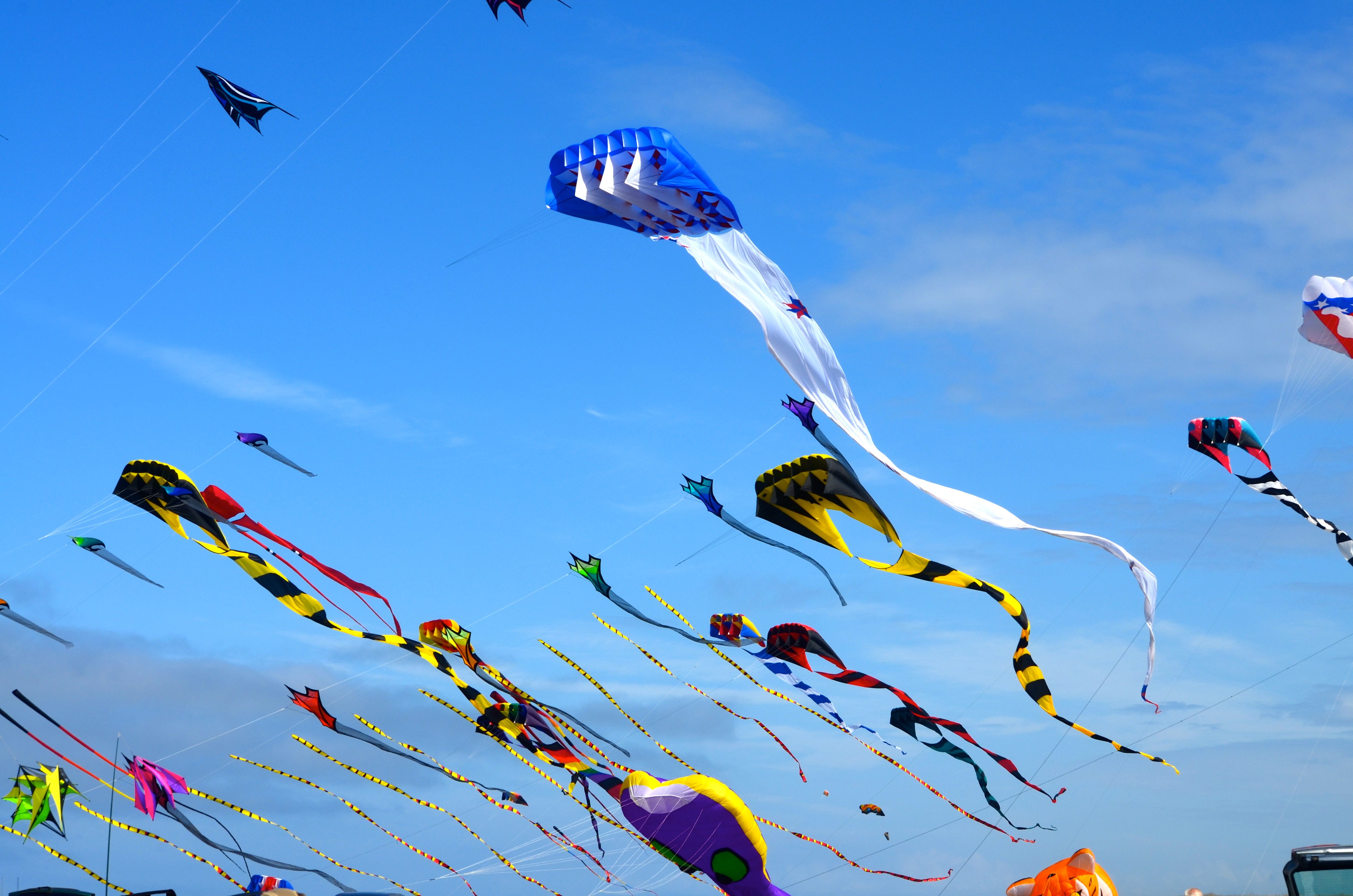 kite, Flying, Bokeh, Flight, Fly, Summer, Hobby, Sport, Sky, Toy, Fun Wallpaper