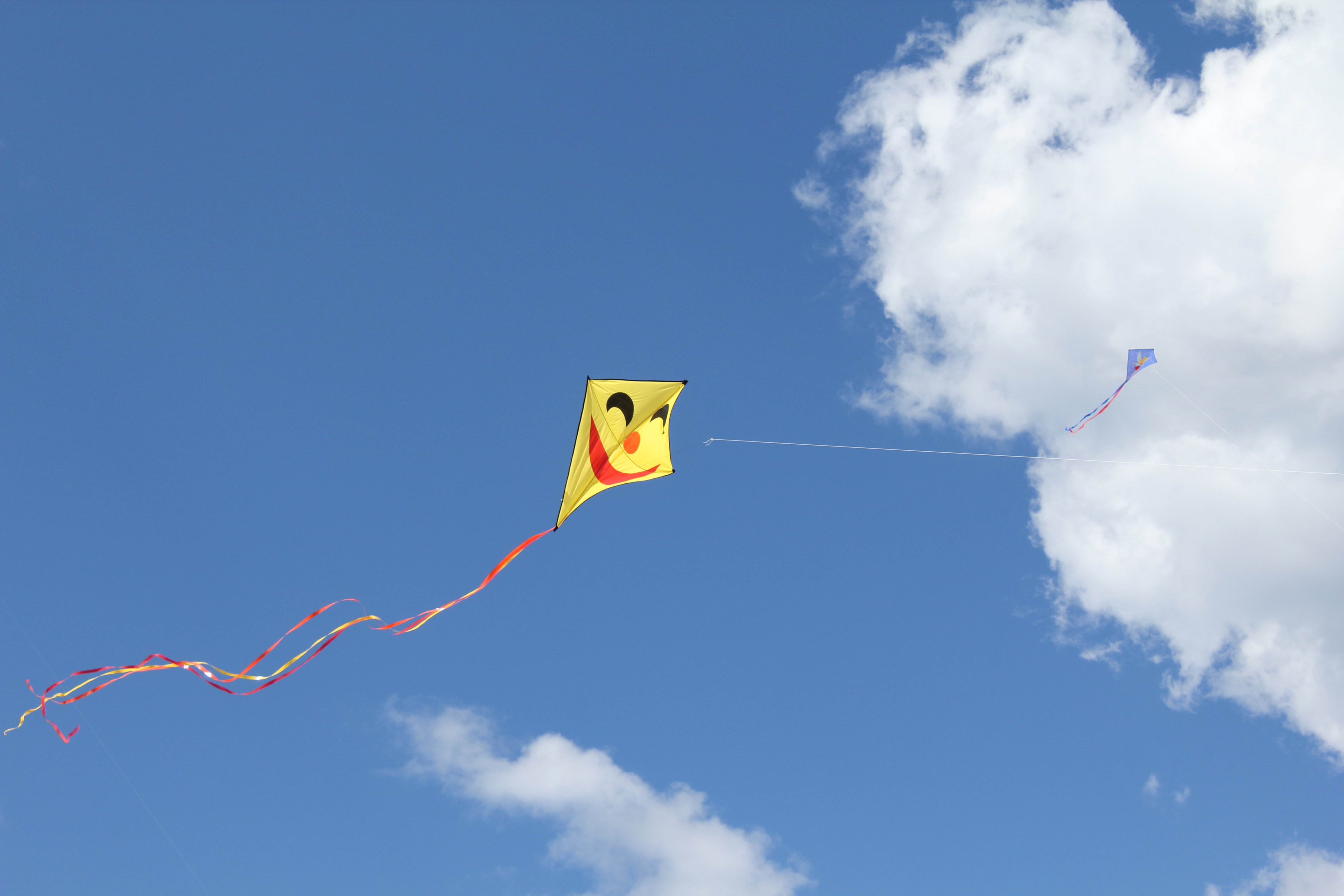 kite, Flying, Bokeh, Flight, Fly, Summer, Hobby, Sport, Sky, Toy, Fun Wallpaper