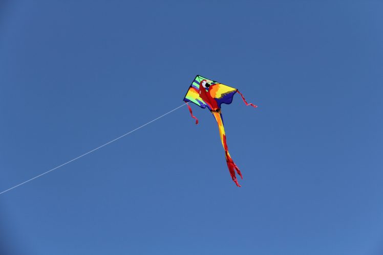kite, Flying, Bokeh, Flight, Fly, Summer, Hobby, Sport, Sky, Toy, Fun HD Wallpaper Desktop Background