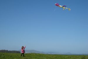 kite, Flying, Bokeh, Flight, Fly, Summer, Hobby, Sport, Sky, Toy, Fun
