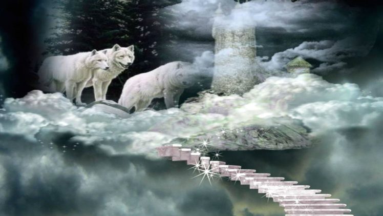 fantasy, Wolf, Wolves HD Wallpaper Desktop Background