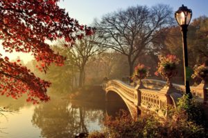 autumn, Fall, Park, Bridge