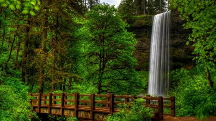 nature, View, Trees, Forest, Park, Bridge, Waterfall, Water, Landscape, Scener HD Wallpaper Desktop Background