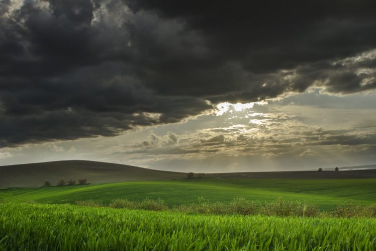 hills, Field, Wheat HD Wallpaper Desktop Background