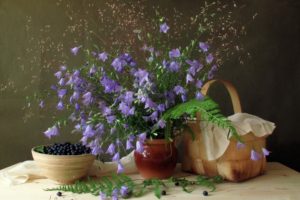 blueberries, Still, Life, Flowers, Pot, Vase, Food, Rustic