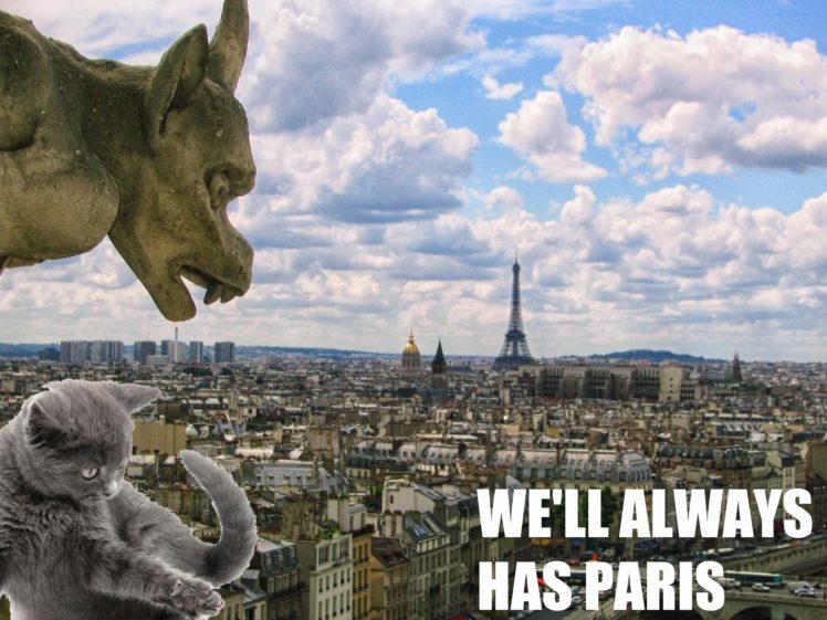 cats, Cat, Humor, Funny, Lol, Paris HD Wallpaper Desktop Background