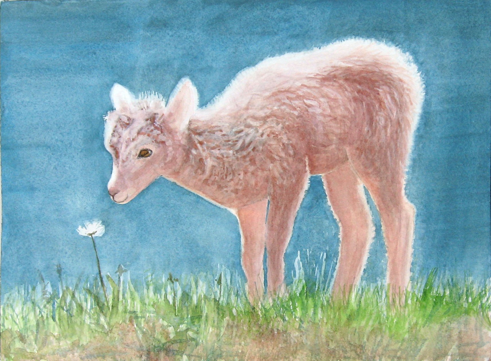 bighorn, Sheep Wallpaper