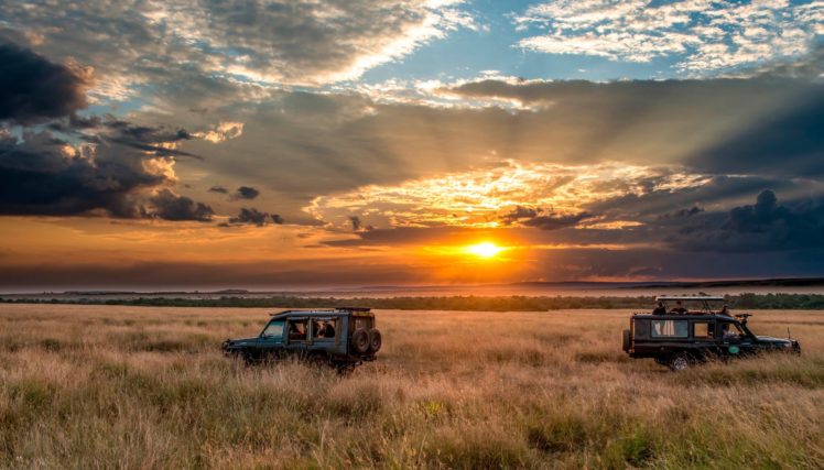horizon, Sky, Safari, Africa, Sunset HD Wallpaper Desktop Background