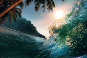 waves, Sea, Ocean, Beach, Palm, Trees, Summer