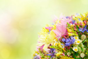 color, Petals, Bouquet, Flowers