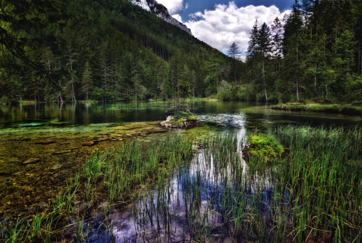 austria, Mountains, River, Forest, Scenery, Nature HD Wallpaper Desktop Background