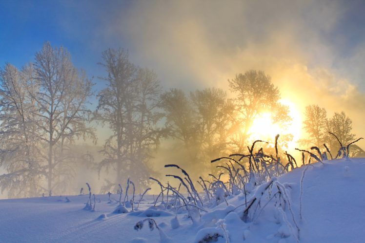 morning, Winter, Snow, Sun, Nature HD Wallpaper Desktop Background