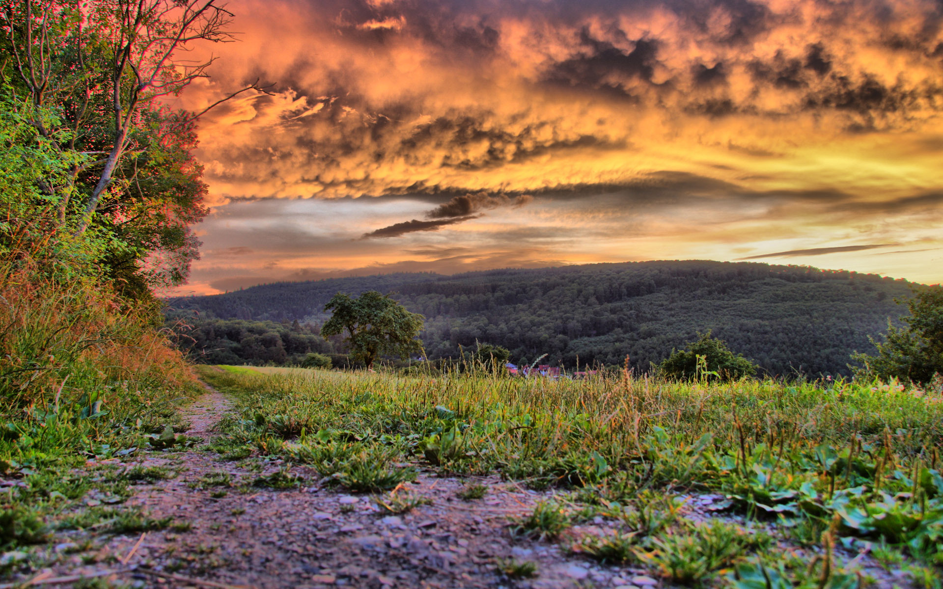 grass, Nature, Landscapes, Fields, Sky, Clouds, Roads, Trail, Path, Trees, Sunset, Sunrise, Hdr Wallpaper