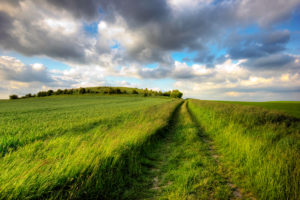 grass, Nature, Landscapes, Fields, Sky, Clouds, Roads, Trail, Path