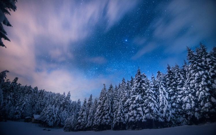 trees, Stars, Night, Snow, Winter, Forest, Sky, Clouds, Landscapes HD Wallpaper Desktop Background