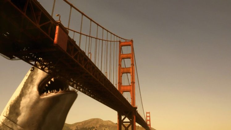 octopus, Sealife, Shark, Photoshop, Bridge HD Wallpaper Desktop Background