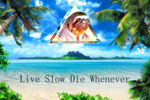 humor, Funny, Sloth, Islands, Ocean, Sea, Tropical, Palm, Trees, Quotes, Statement, Text