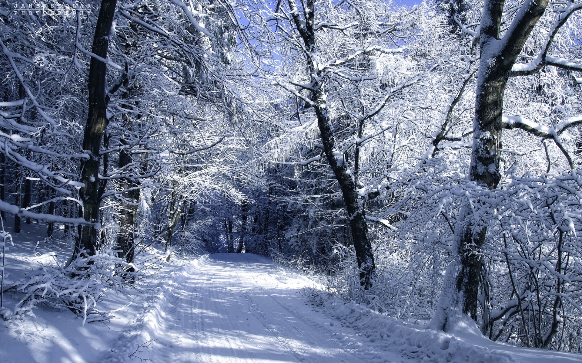 roads, Winter, Snow, Trees, Forest, Woods, Nature, Landscapes Wallpaper