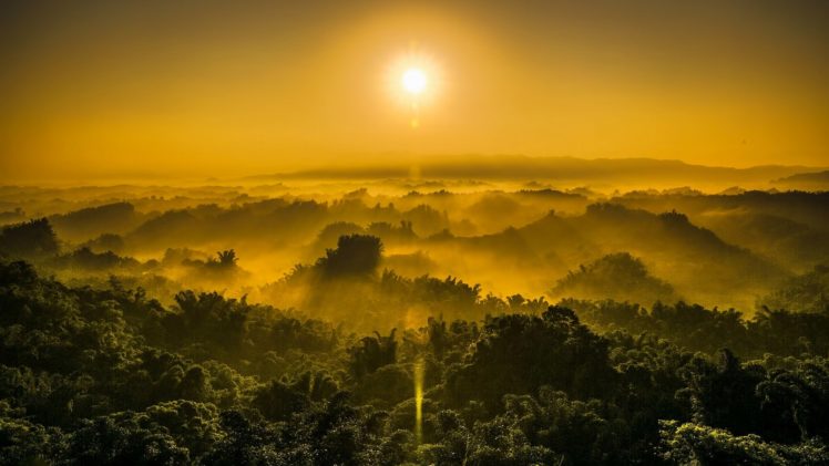 sunset, Jungle, Fog, Nature HD Wallpaper Desktop Background