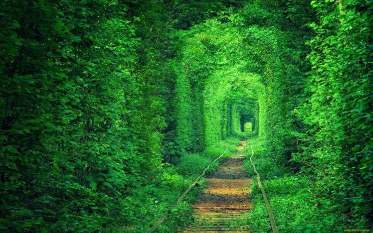 tunnel, Green, Rails, Road, Garden HD Wallpaper Desktop Background