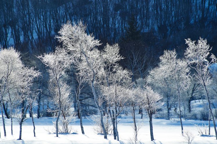 hiver, Neige, Montagne, Snow, Nature, Landscapes, Frozen, Winter, Wallpapers HD Wallpaper Desktop Background