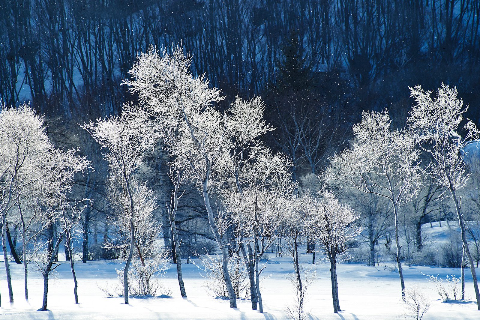 hiver, Neige, Montagne, Snow, Nature, Landscapes, Frozen, Winter, Wallpapers Wallpaper