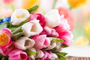 bouquet, Flowers, Tulips, Color