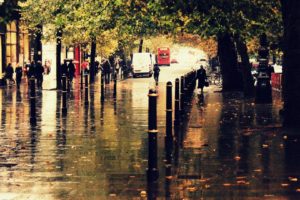 autumn, City, Street, Rain, People, Sidewalk, Reflection, Trees