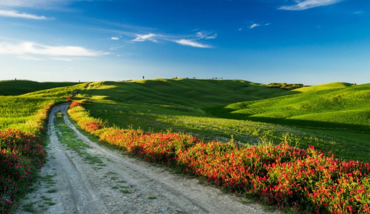 italy, Scenery, Field, Road, Tuscany, Shrubs, Nature HD Wallpaper Desktop Background