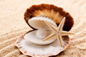 seashells, Starfish, Pearl, Sand, Beaches, Shell, Clam