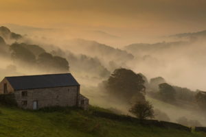 morning, House, Field, Fog, Landscape