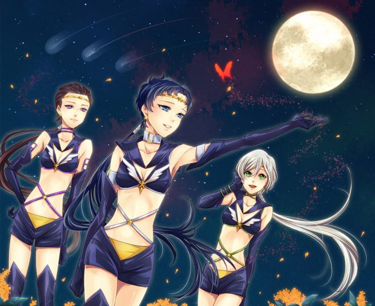 star, Light, Seiya, Moon, Butterfly, Flower, Sailor, Moon HD Wallpaper Desktop Background