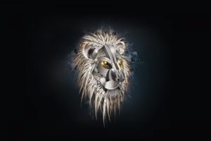 lion, Head, Drawing
