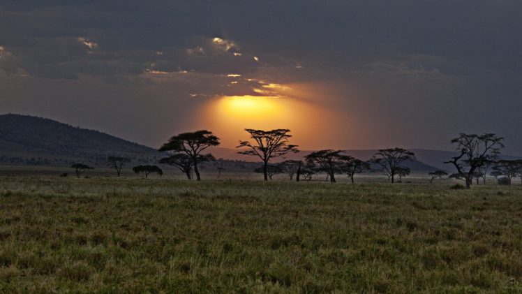 africa, Kenya, Savannah, Sunset, Sky, Clouds, Trees HD Wallpaper Desktop Background