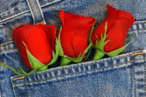 bouquet, Roses, Jeans